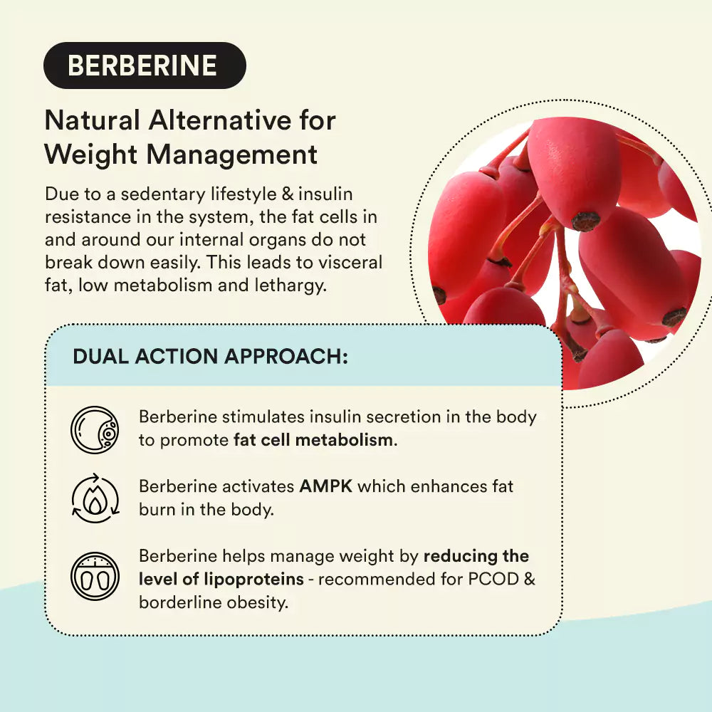 ZOZORN Embrace | For Weight Management