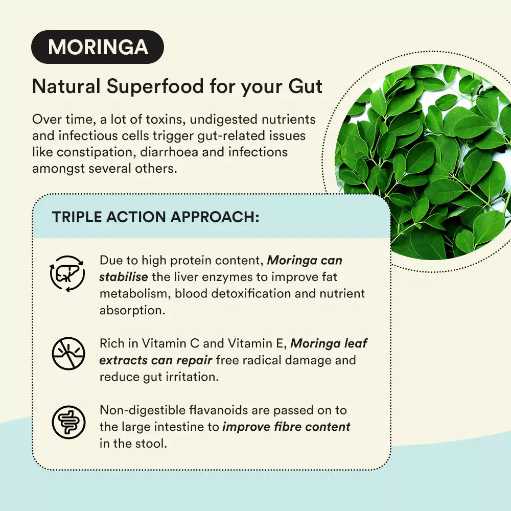ZOZORN Detox | Moringa for Gut Health